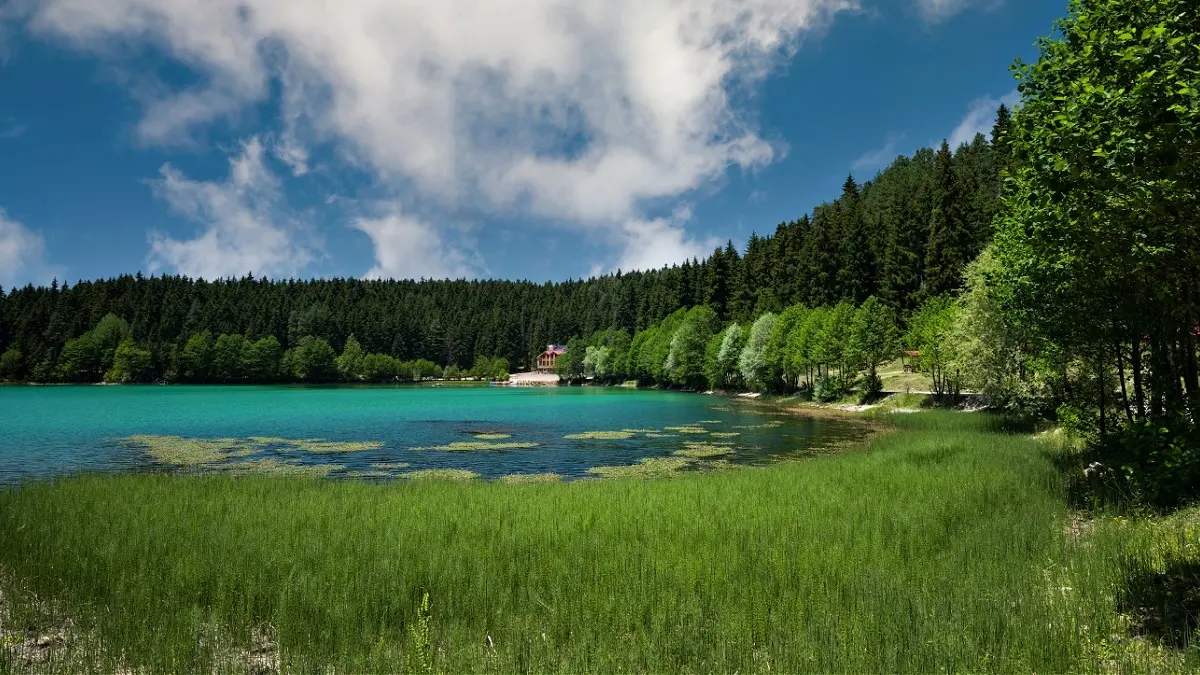 Artvin’de 12 yaşındaki çocuk kalp krizi sonucu hayatını kaybetti