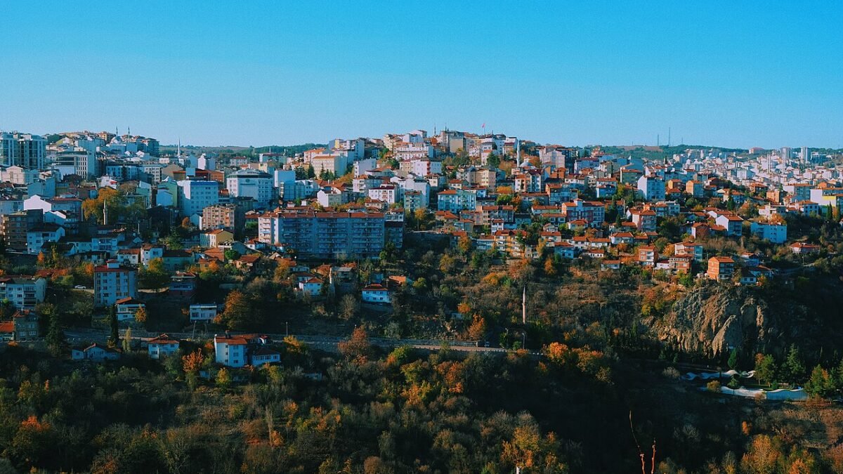 Bilecik'te Trafik Kazası: 1 Ölü, 1 Yaralı