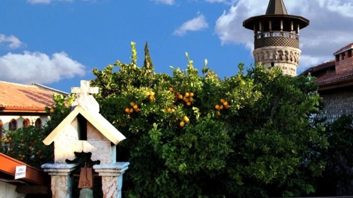 Hatay'da Zorlu Buğday Hasadı