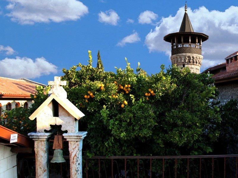 Hatay'da Zorlu Buğday Hasadı