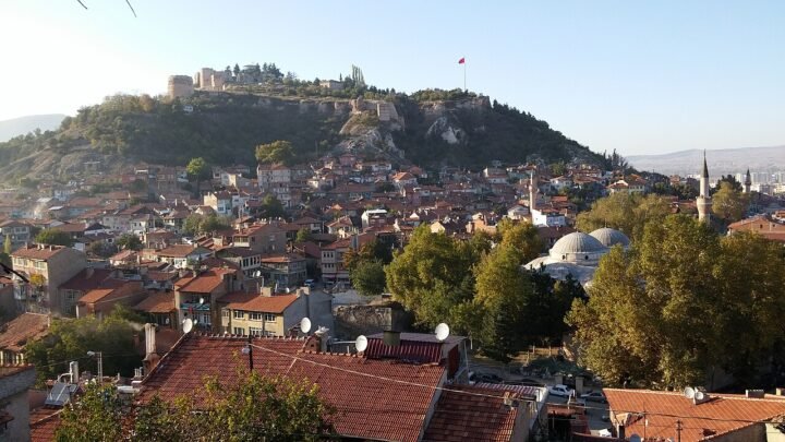 Kütahya'da Bitki Koruma Eğitimi