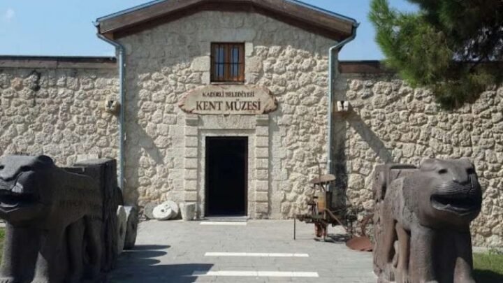 Osmaniye'de alevler rüzgarla şahlandı: Çalılıkta başlayan yangın ormana sıçradı, ekipler teyakkuzda!
