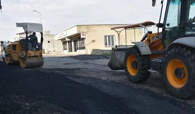 Siirt'te vahşet: Kavga ettiği kişiyi kürekle öldürdü - Son Dakika Türkiye Haberleri
