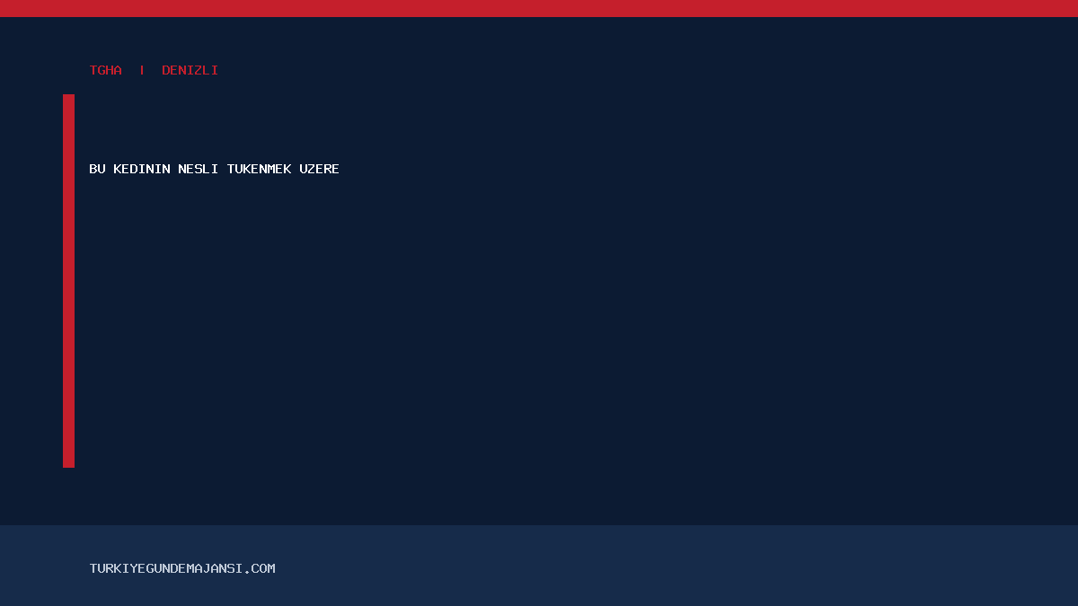 Bu kedinin nesli tükenmek üzere