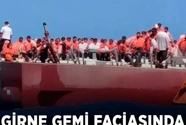 Ankara Haberleri - Başkentte otluk alanda çıkan yangın söndürüldü - Yerel Haberler