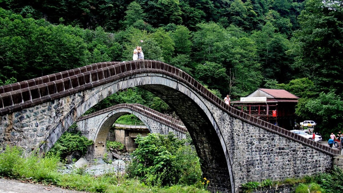 Artvin'de Madencilik Tepkisi