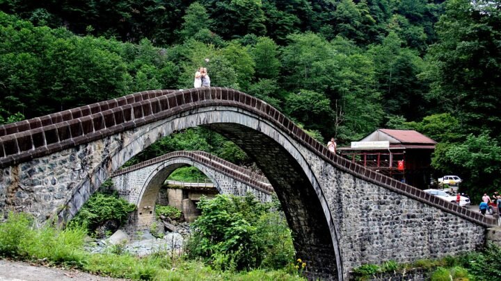 Artvin'de Madencilik Tepkisi