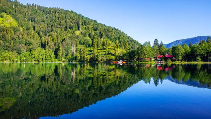 Artvin’de karı-koca çetesine operasyon! Gasp ettikleri altınlarla yakalandılar - Artvin Haberleri