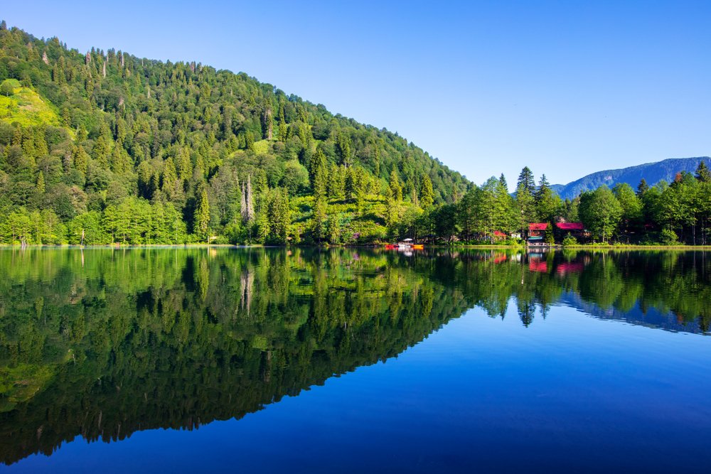 Artvin’de karı-koca çetesine operasyon! Gasp ettikleri altınlarla yakalandılar - Artvin Haberleri