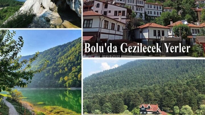 Bolu'da Din Görevlilerine Başarı Belgeleri Verildi