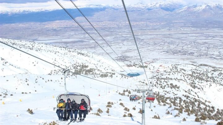 Erzincan'da fasulye hasadı başladı