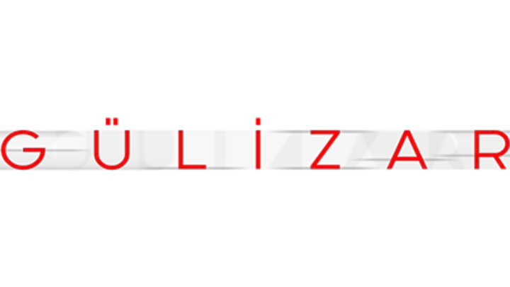 Gülizar Aydın cinayeti aydınlatıldı