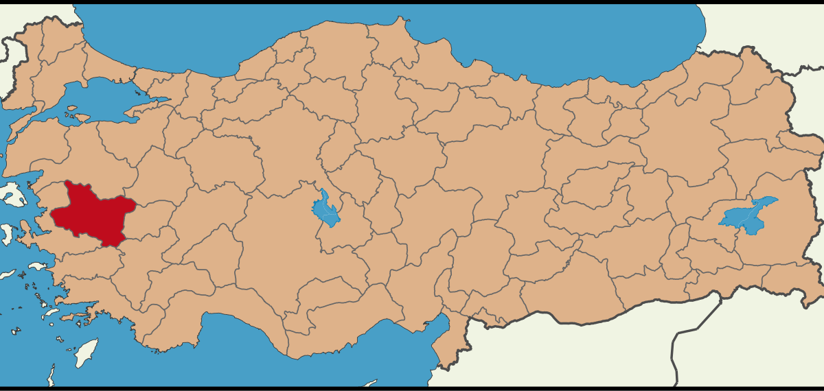 Manisa'da mobil sağlık aracıyla kanser taraması