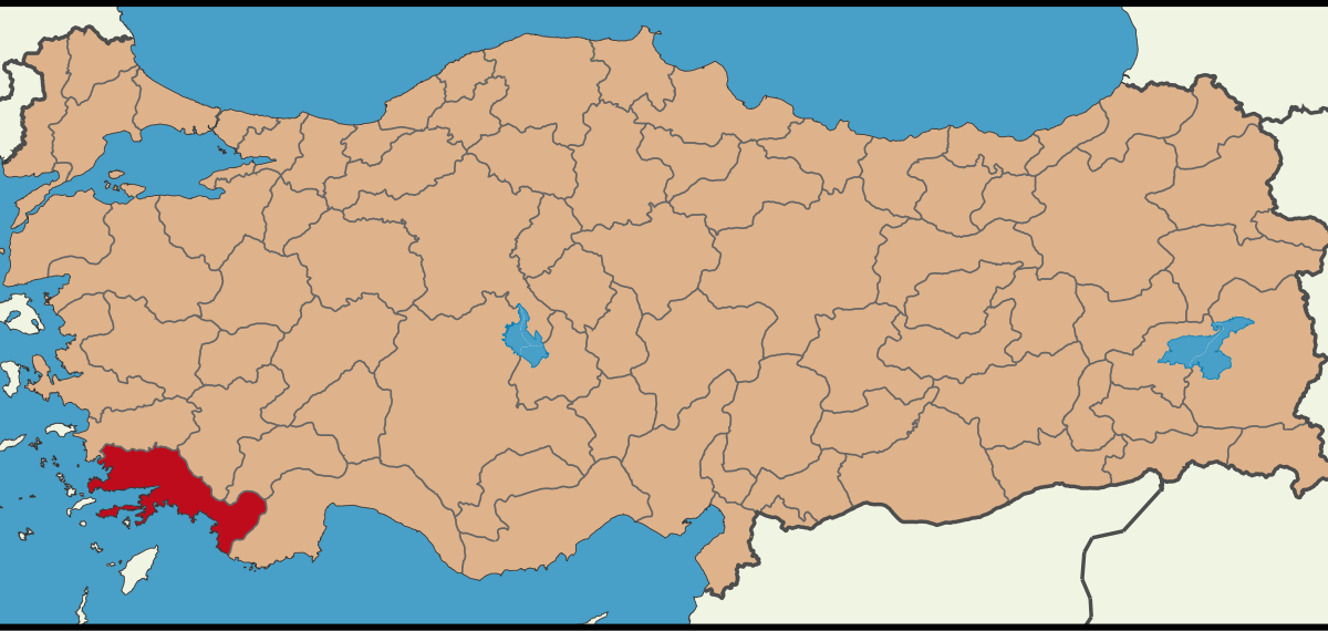 Muğla'da orman yangını: Ekipler müdahale ediyor