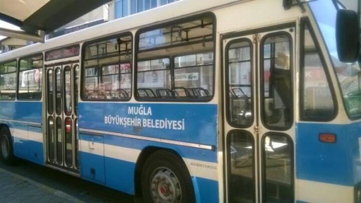 Muğla'da orman yangını