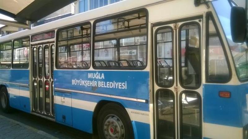 Muğla'da orman yangını