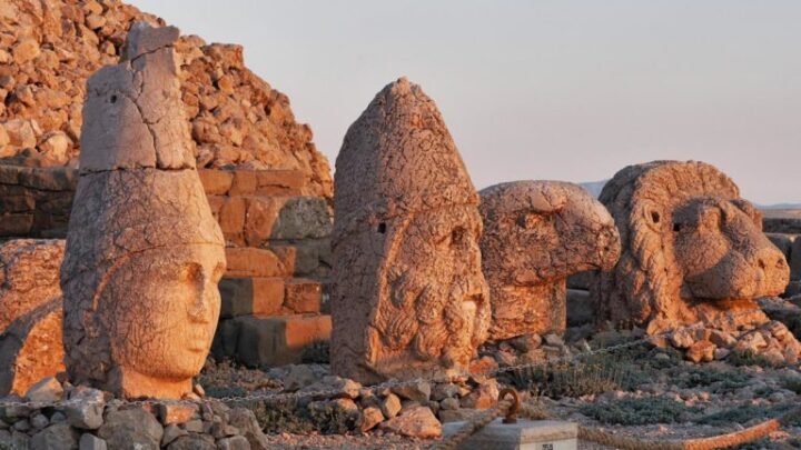 Nemrut Kalderası'nda iyileşen beş yaban hayvanı doğal yaşamına uğurlandı