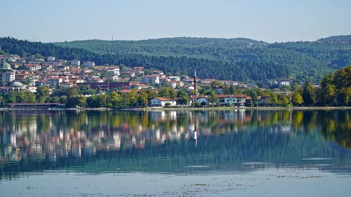 Sakarya'da Fındık Hasadı Şenliği düzenlendi