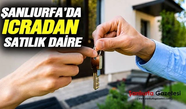 Şanlıurfa'da iki araç çarpıştı! 2 kişi yaralandı - Şanlıurfa Haberleri
