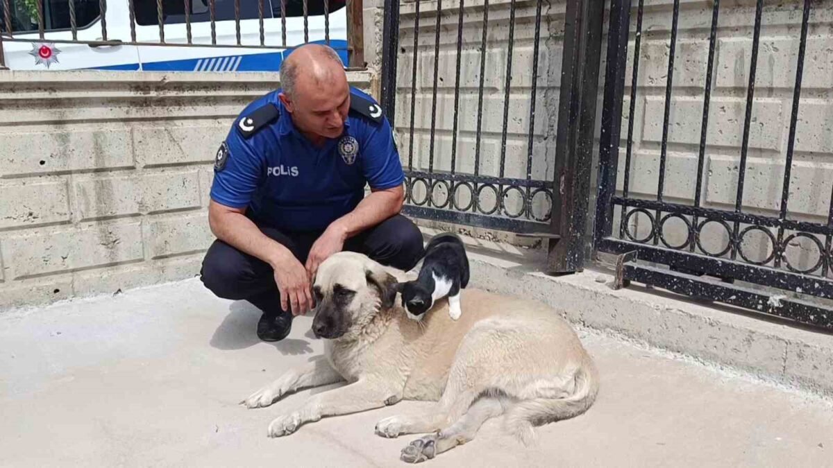 Şehit ailesinden ‘Terörsüz Türkiye’ sürecine tam destek İhlas Haber Ajansı