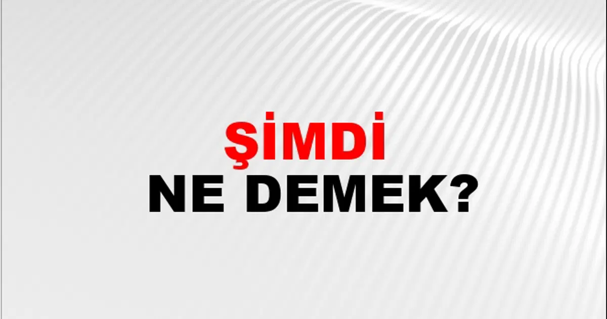 Şimdi neden Trabzon’a gittiğini anladık