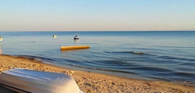 Tekirdağ Haberleri Nereden Takip Edilir? Güncel ve Yerel Haber Kaynakları