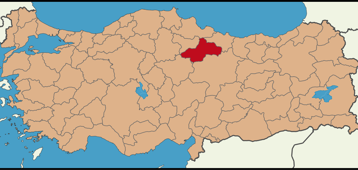 Tokat'ta aracın önünü kesip ateş açtı