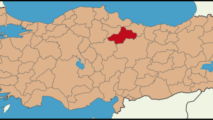 Tokat'ta aracın önünü kesip ateş açtı