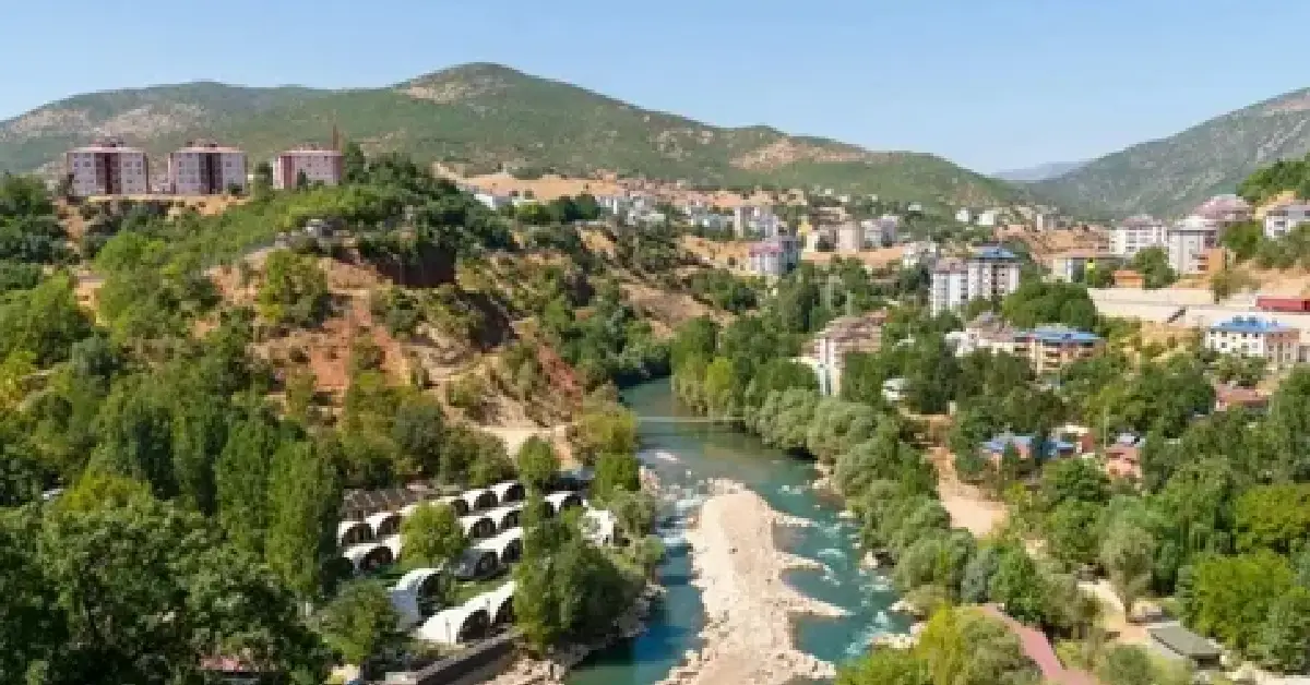 Tunceli'de ot yangınında alevler kontrol altına alındı