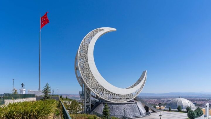 Balıkesir'de çıkan orman yangınına müdahale ediliyor