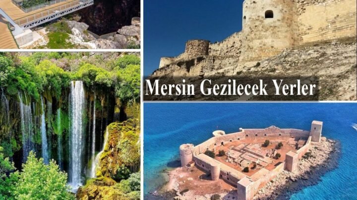 Mersin Uluslararası Limanı'nda iş makinesi konteynerin üzerine devrildi