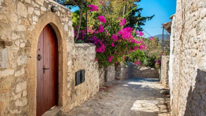 Muğla'da 11. Uluslararası Zurnazen Festivali Sona Erdi
